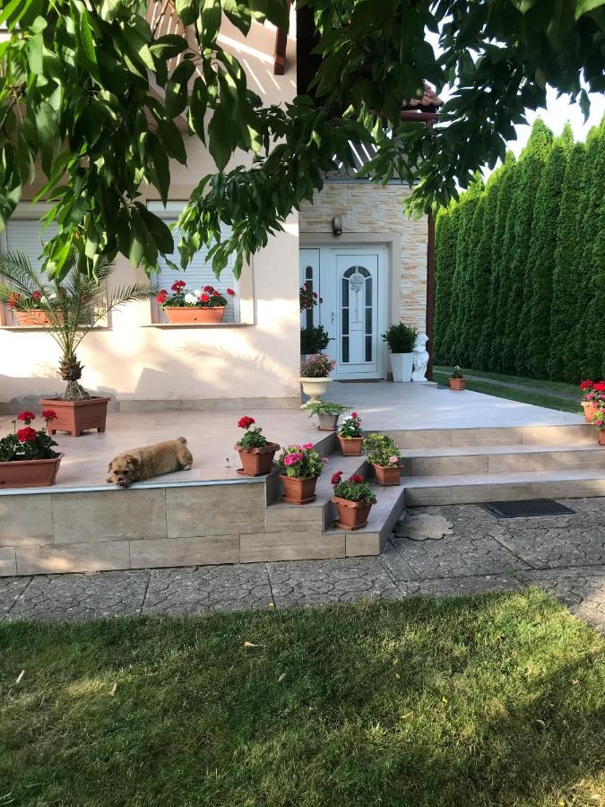 Majlath Vendeghaz Hotel Bük Екстериор снимка
