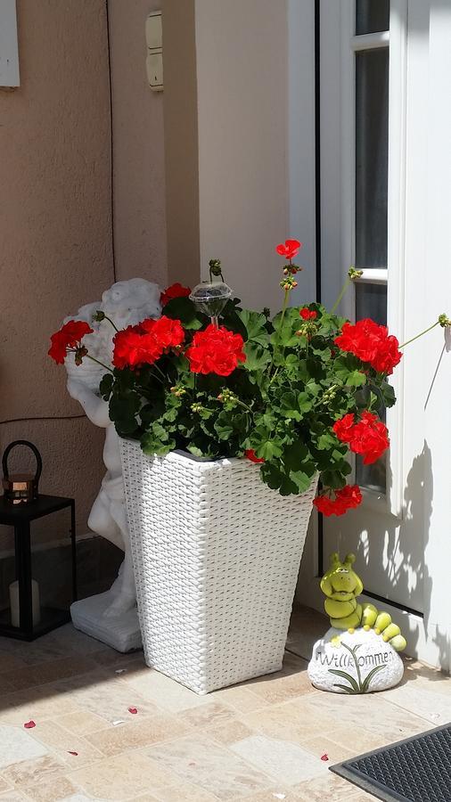 Majlath Vendeghaz Hotel Bük Екстериор снимка
